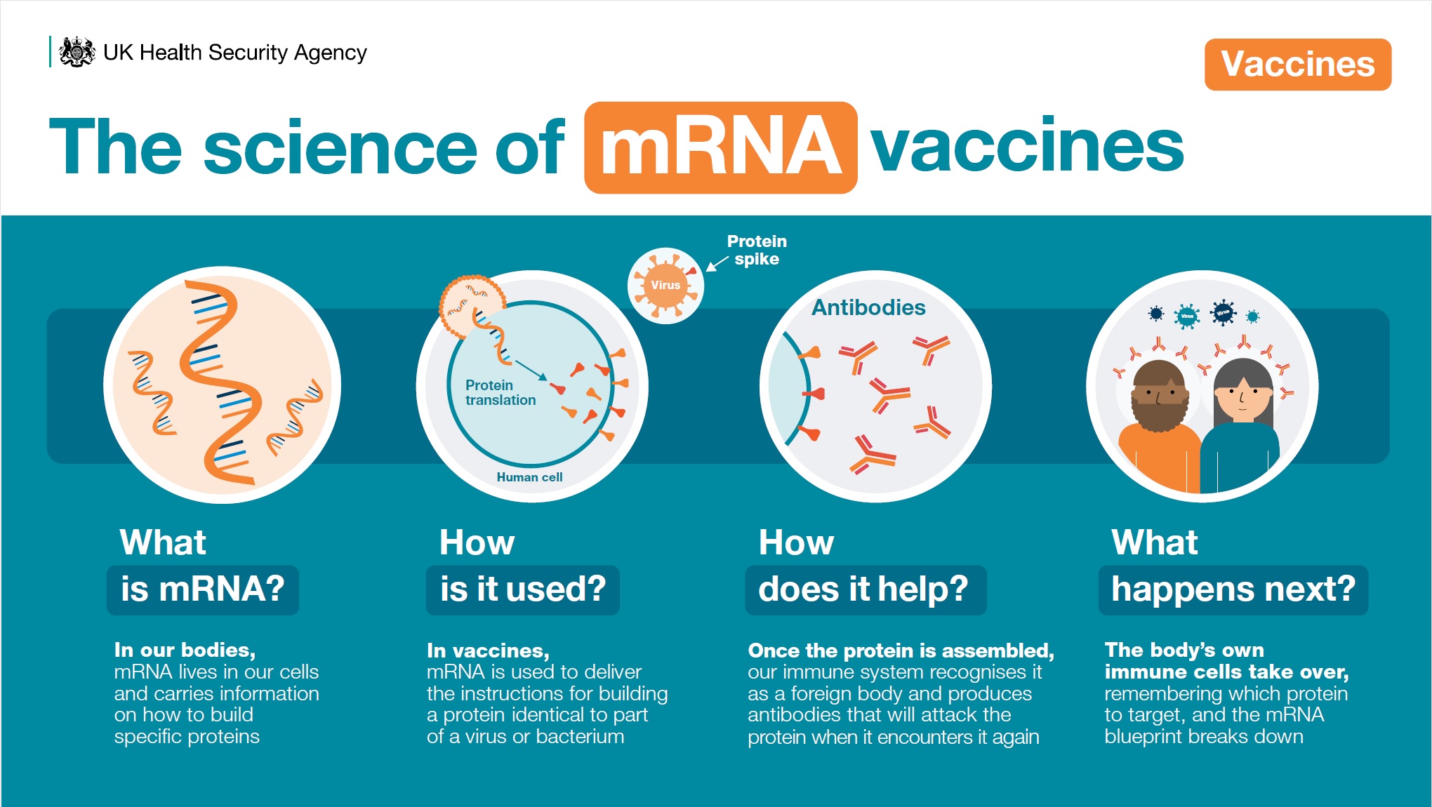 Thành tựu y học: vắc-xin mRNA