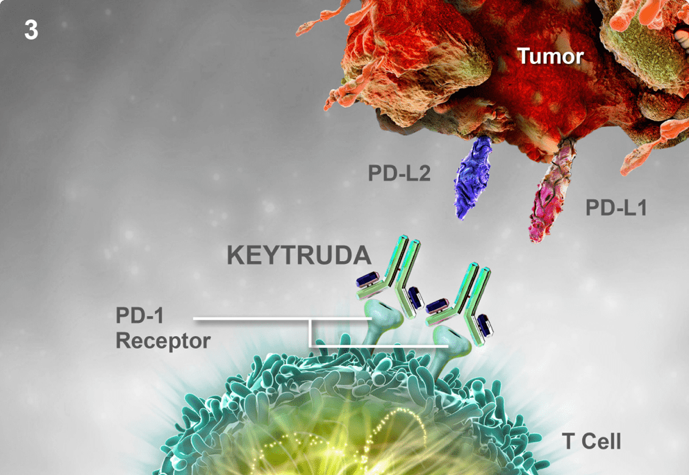 FDA chấp thuận pembrolizumab với hóa xạ trị cho ung thư cổ tử cung giai đoạn III-IVA FIGO 2014