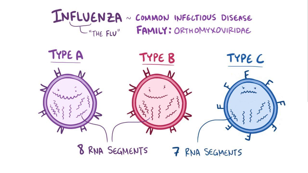 Cập nhật về cúm H5N1 (cúm gia cầm) cho điều dưỡng