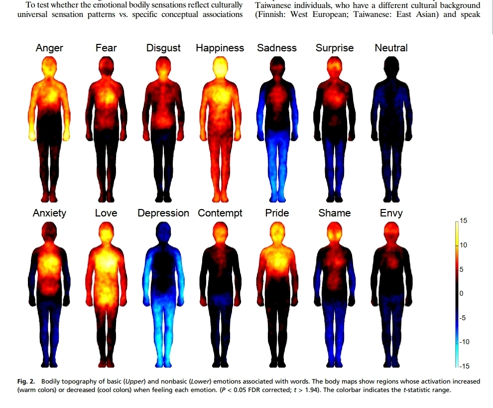 bản đồ các cảm giác cơ thể liên quan đến các cảm xúc